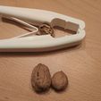 IMG_20230120_080156.jpg Casse-noix