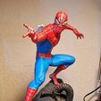 IMG_0947.JPG Spider-Man Classic 3d Print Model