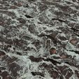 4.jpg Lichen 8K PBR Texture