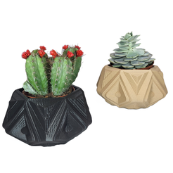 Pflanzenoase-Luftpflanzenvase-Töpfe-für-Zimmerpflanzen-Blumenübertopf-Sukkulenten-Übertopf.png STL-Datei Pflanzenoase - Luftpflanzenvase - Töpfe für Zimmerpflanzen - Blumenübertopf - Sukkulenten Übertopf - Kakteen Übertopf - Pflanzentopf - einzigartig・Design für 3D-Drucker zum herunterladen