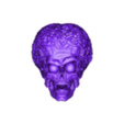 Martian_head 1.stl mars attack