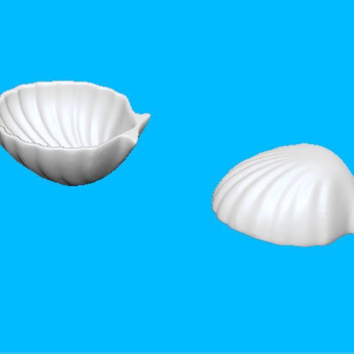 🐚 Shell Decor・ STL File for 3D printing・Cults