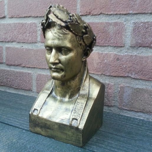 Napoleon3.jpg Napoleon Bust 3D Scan