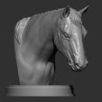 horses-head-3d-print-model-3d-model-0ae3c2035a.jpg Horses head 3D print model