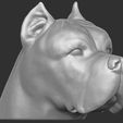 5.jpg Cane Corso dog head for 3D printing