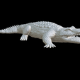 Capture-d’écran-2023-07-06-à-15.30.31.png crocodile