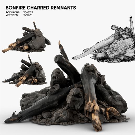 Bonfire Charred Remnants