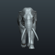 Elephant_Pose_z-02.png Asian Elephant