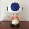 Toad from Mario games - Multi-color