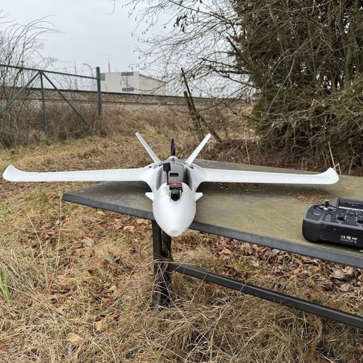 IMG_5669.jpeg AtomRC Dolphin großer Flügel Umbau