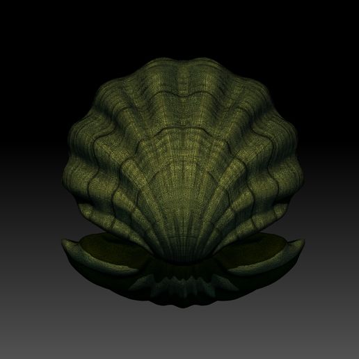 shell-03-mesh.jpg Ostra