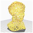 Venus-Voronoi-Model-2.jpg Venus Voronoi Model