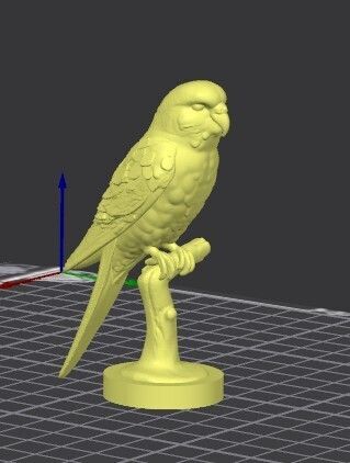 Budgie 3D model