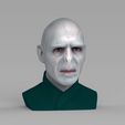 untitled.320.jpg Lord Voldemort bust ready for full color 3D printing