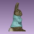 4.jpg Peter Rabbit