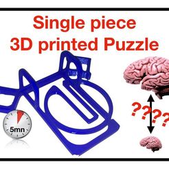 miniature.jpeg Puzzle: free (or lock) the ring