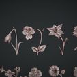 02.jpg Birth Month Flowers Set Bas Relief 3D Model