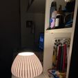 WhatsApp-Image-2024-09-03-at-12.13.19.jpeg Lámpara hongo / Mushroom lamp