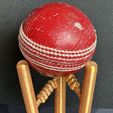 IMG_1479.jpg Cricket ball stand/trophy