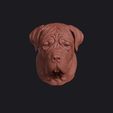 neapolitan_mastiff_0001.jpg Neapolitan Mastiff Head Bust Wall Mount