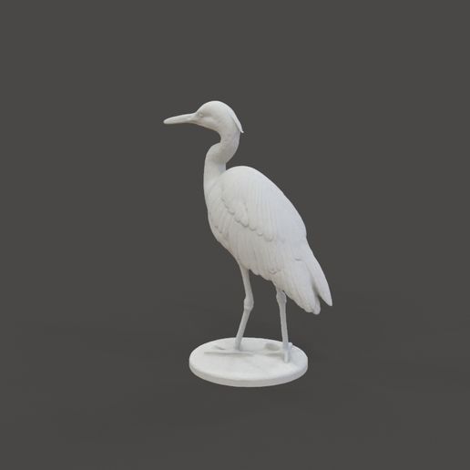 Bird_1.3.jpg Miniaturas Heron