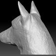 8.jpg German Shepherd head for 3D printing