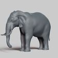 R02.jpg elephant pose 02