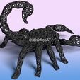 scorpio-7.jpg Scorpion Mesh Wire
