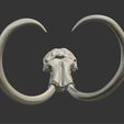 08.png 3D mammoth skull