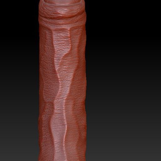 03.jpeg Modelo de impressão 3D de Dildo simples
