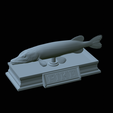 Pike-statue-31.png fish Northern pike / Esox lucius statue detailed texture for 3d printing