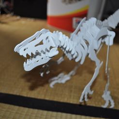 DSC_6453.jpg Velociraptor 3D puzzle, Dino