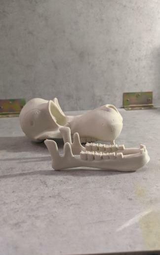 IMG_20200620_110525_621.jpg goffy skull