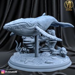 whale.jpg Fichier STL Baleine・Design pour imprimante 3D à télécharger