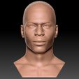 1.jpg Nelly bust for 3D printing