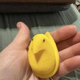 481303631_10237469435300020_3082285595596150567_n.jpg Peep Clicky Chicky Fidget and Keychain
