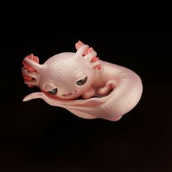 AxolotlColor2.jpg Datei STL Axolotl kawaii・Design für 3D-Drucker zum herunterladen