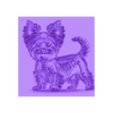 X-ray york01_Front_200x200.stl X-ray Yorkshire Terrier dog filament painting