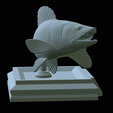zander-open-mouth-tocenej-30.png fish zander / pikeperch / Sander lucioperca trophy statue detailed texture for 3d printing
