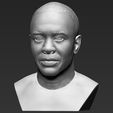 2.jpg Dr Dre bust ready for full color 3D printing