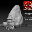 Pablo-EE1.jpg Star wars HotToys Head sculpt 1:6th scale - Jedi Pablo Jill