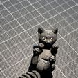 Kitty Keychain - Flexi Articulated Animal (print in place, no supports)