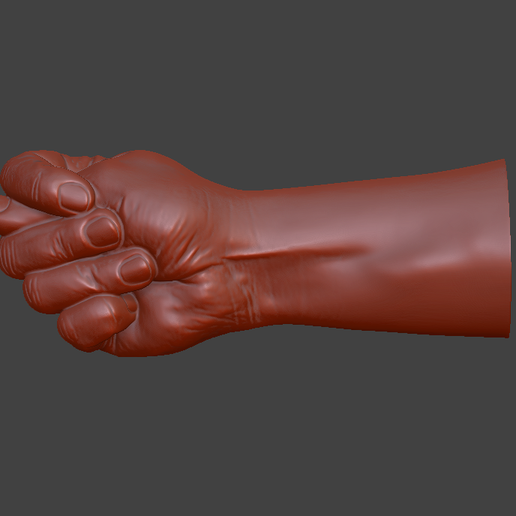 FIG_SIGN_D.png hand fig sign