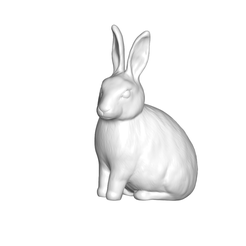Rabbit.png Archivo 3D Conejo・Objeto imprimible en 3D para descargar