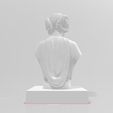 3.jpg Leia pour l'impression 3d