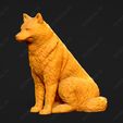 242-Alaskan_Malamute_Pose_04.jpg Alaskan Malamute Dog 3D Print Model Pose 04