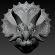 03.jpg Triceratops Head
