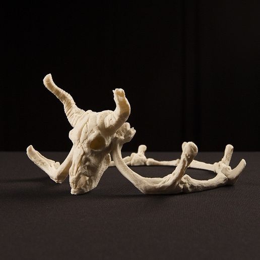 skulls_2_display_large.jpg Free STL file Storied Skulls Crown and Tiara・Design to download and 3D print, alterboy987