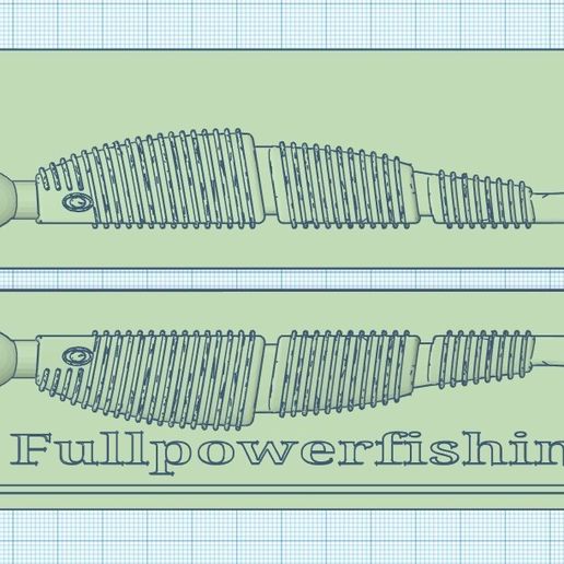 striped shad - 3D model önizlemesi