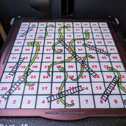 PXL_20231030_144444283.jpg Snakes and Ladders - Travel Edition